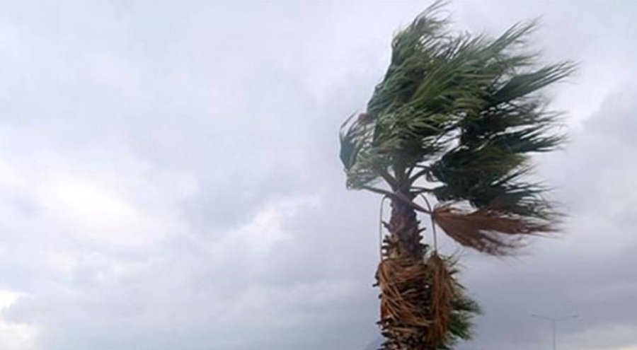 Aydın'a kuvvetli rüzgar uyarısı