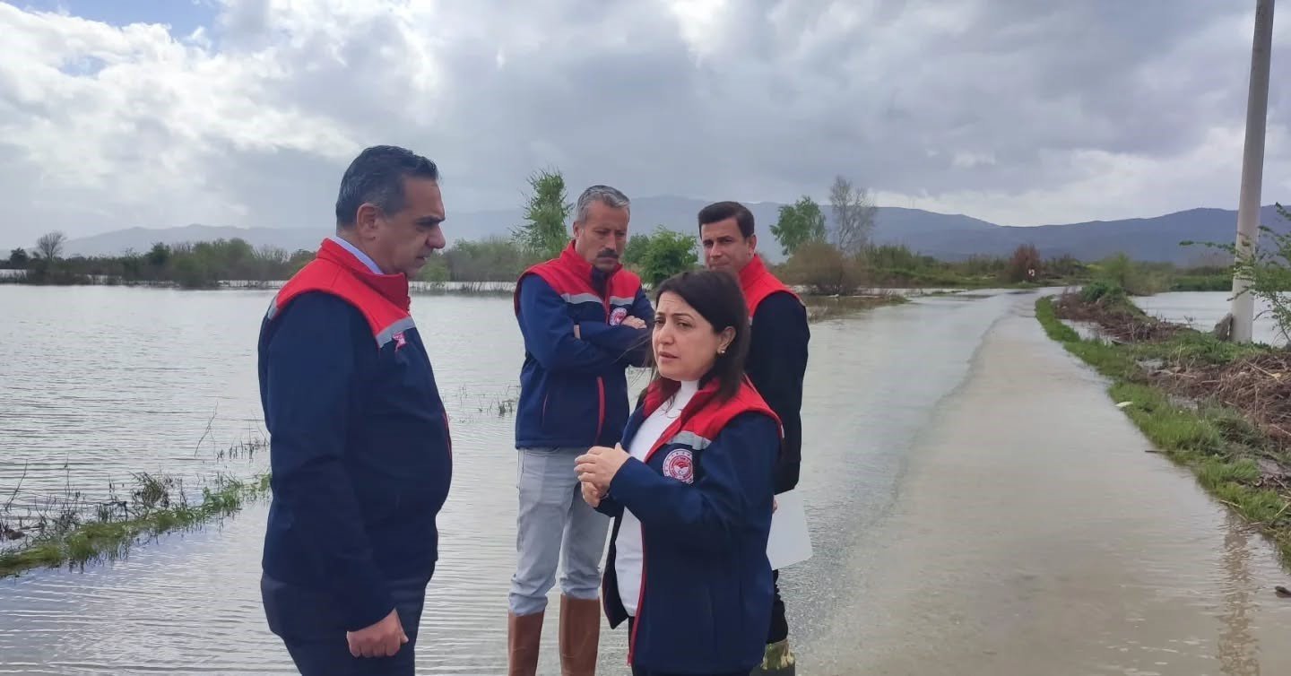 Aydın'da sular altında kalan arazilerde kesin zarar tespiti yapıldı