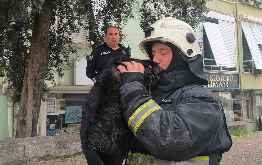 İtfaiye eri yangında dumandan etkilenen kediyi kalp masajı ile hayata döndürdü