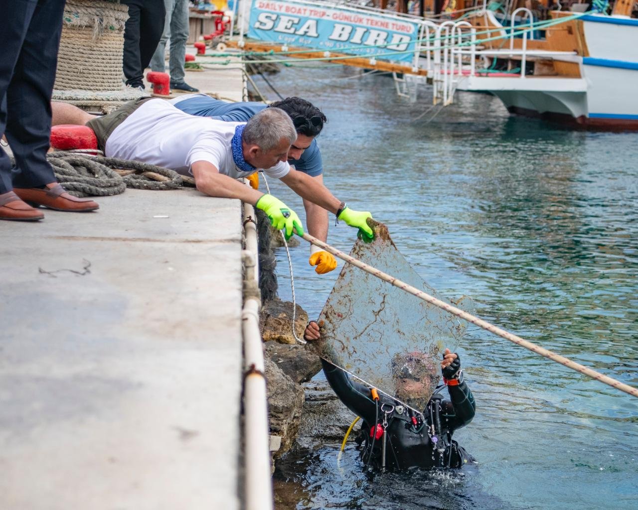 E9Fb3D29 Bd3F 43Ee 9825 1E644C80Bc8E