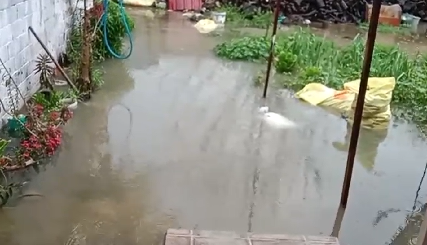 Söke’de 9 yıldır bitmeyen rezillik: İnsanlar lağım kokusuyla yaşıyor