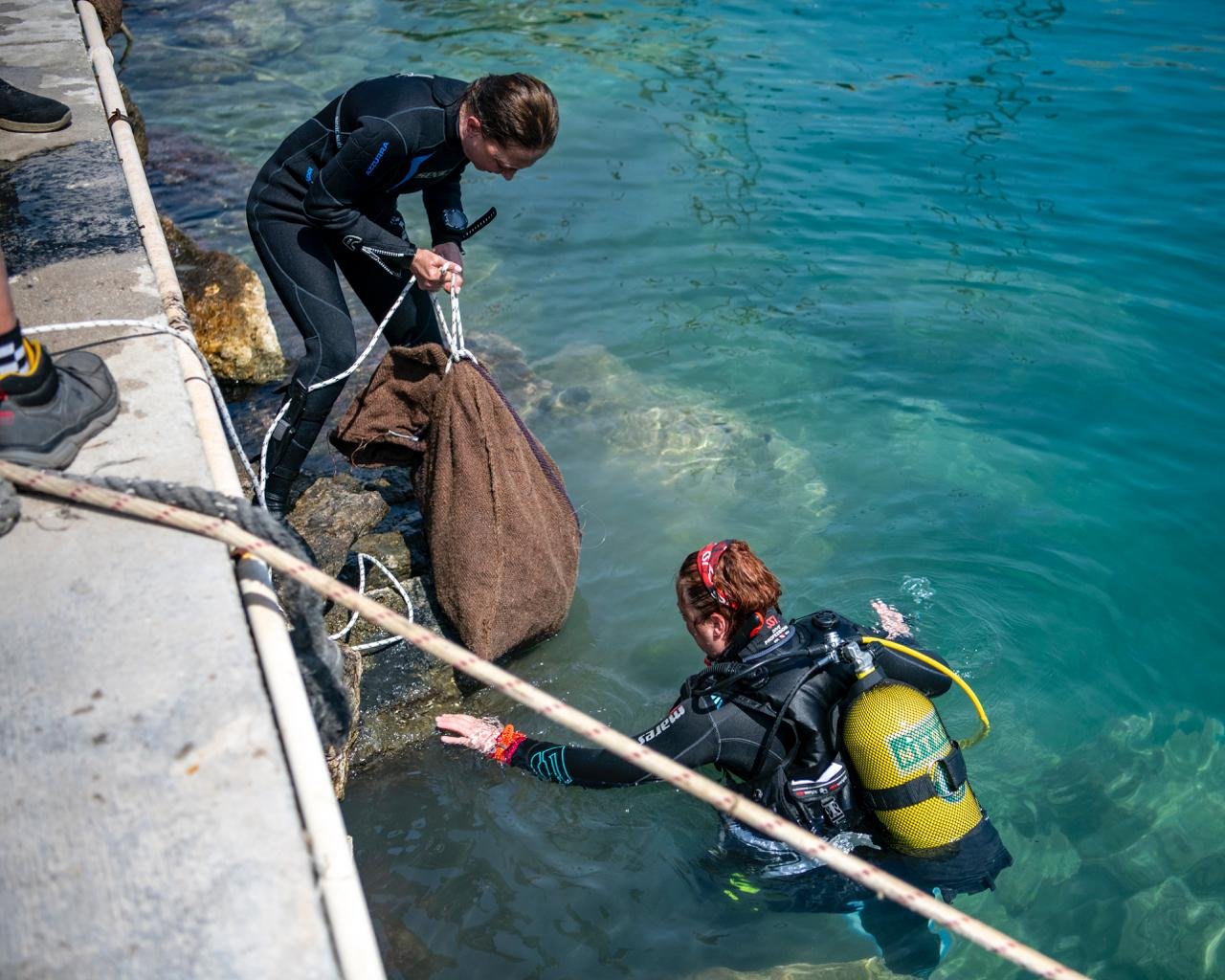 F207A477 D309 42Cb 9637 8450Df6Fb28E