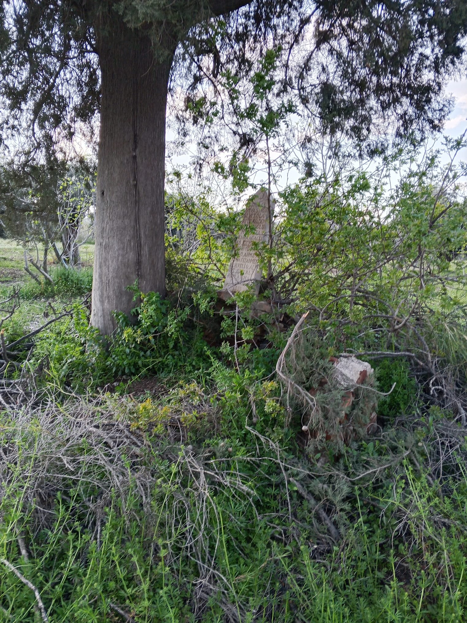 I M G 20260409 W A0001