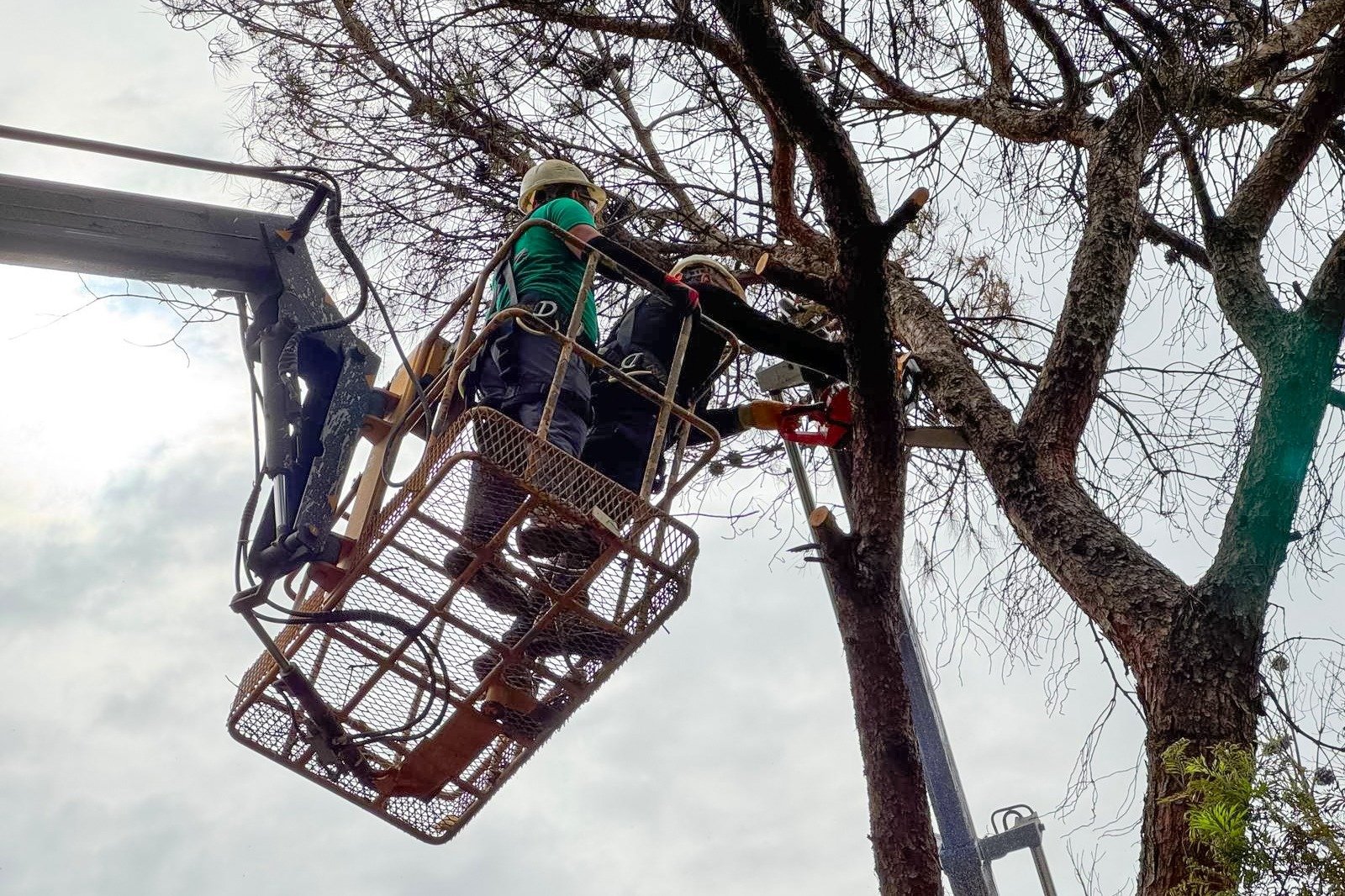 I M G 20260417 W A0013