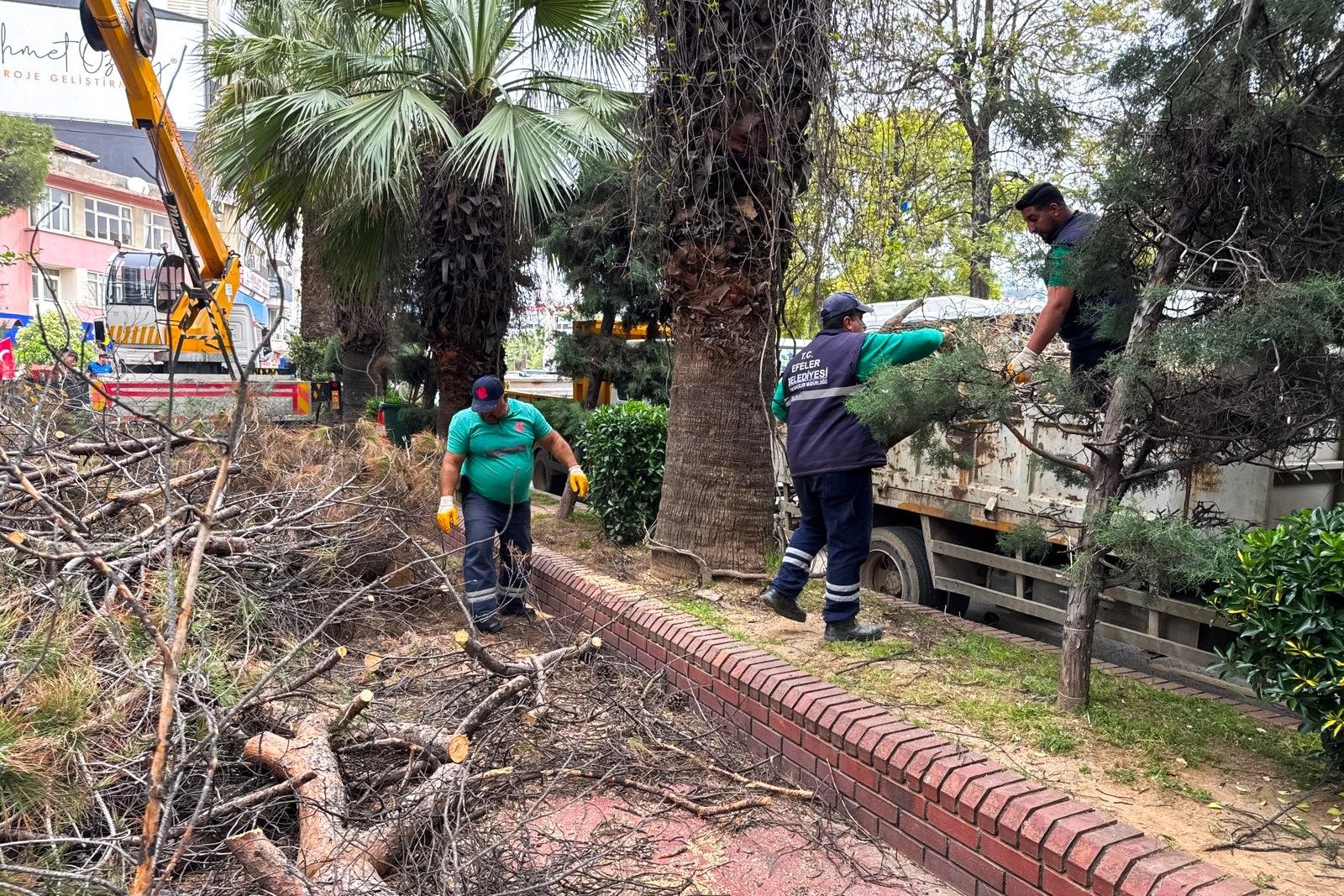 I M G 20260417 W A0014