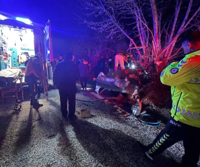 Kontrolden Cikan Arac Agaca Ca 19717645 6238 1 M