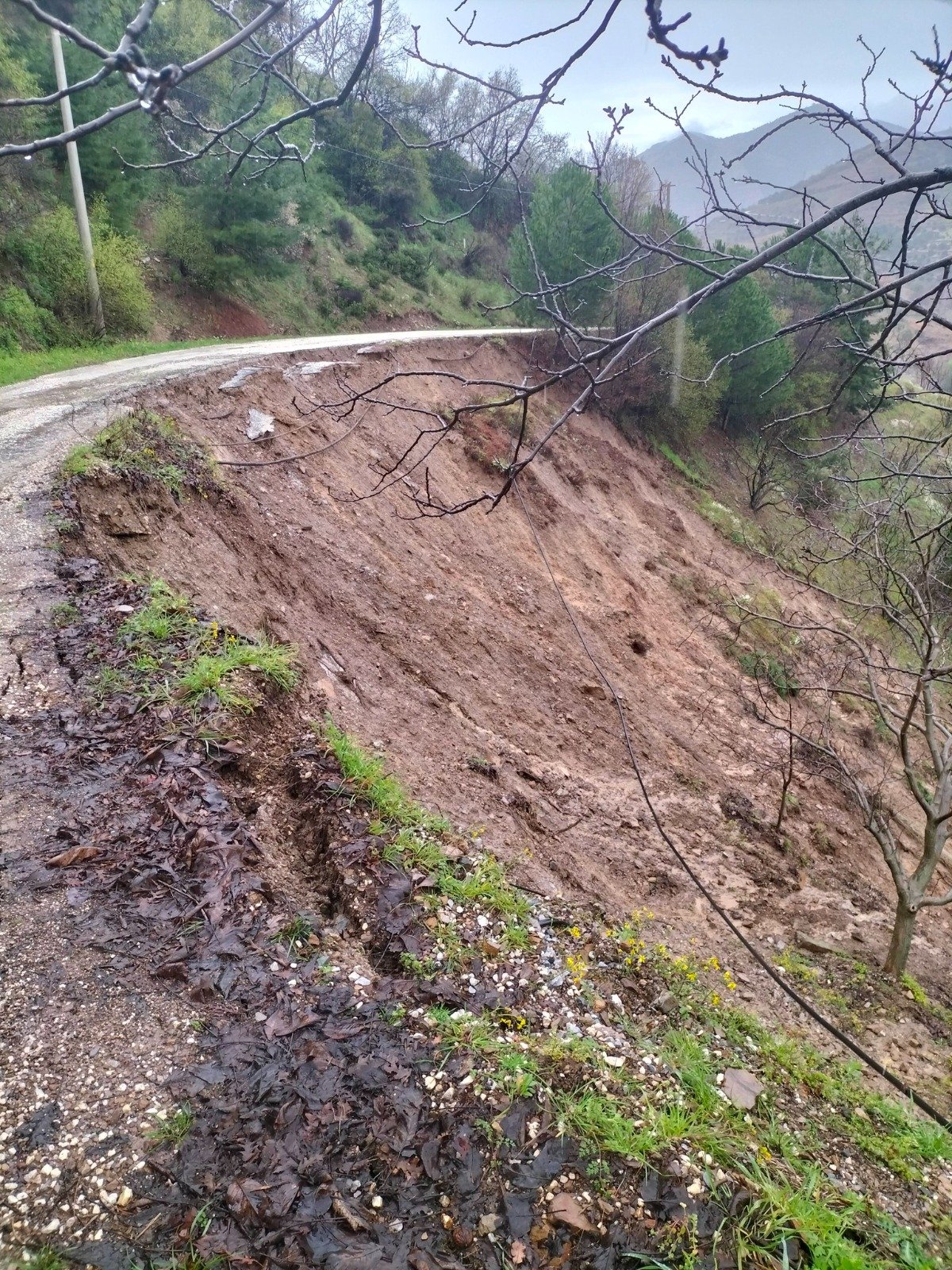 Whatsapp Image 2026 04 04 At 13.21.59 (1)