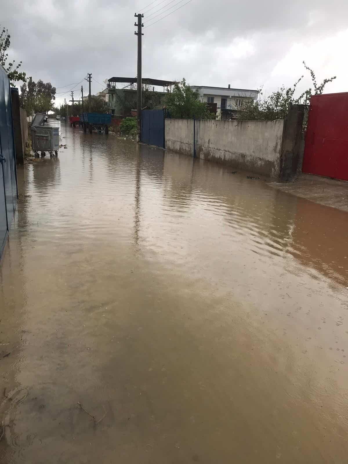 Whatsapp Image 2026 04 05 At 11.39.47