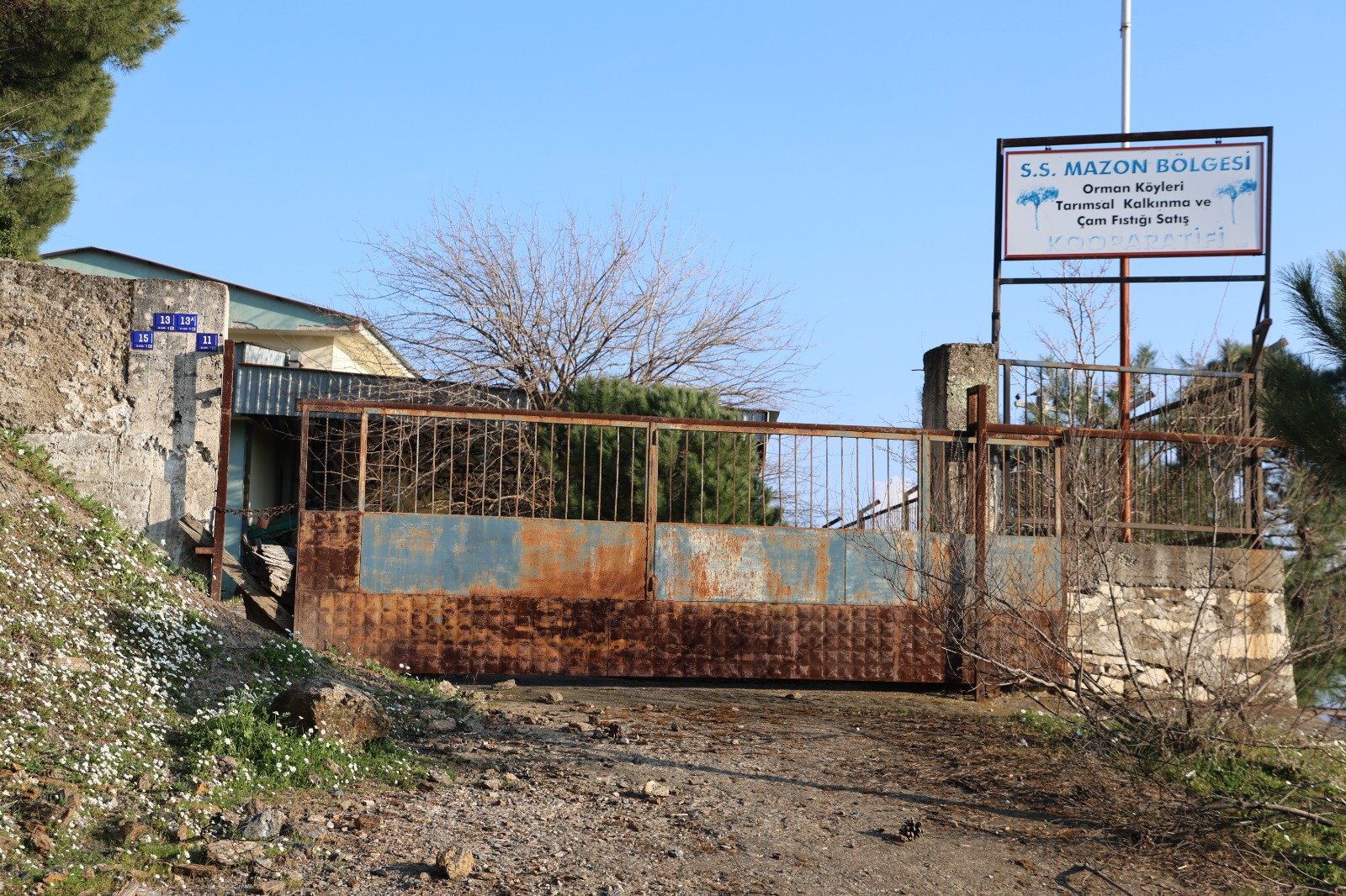 Üreticilere umut olacaktı, şimdi çürümeye terk edildi