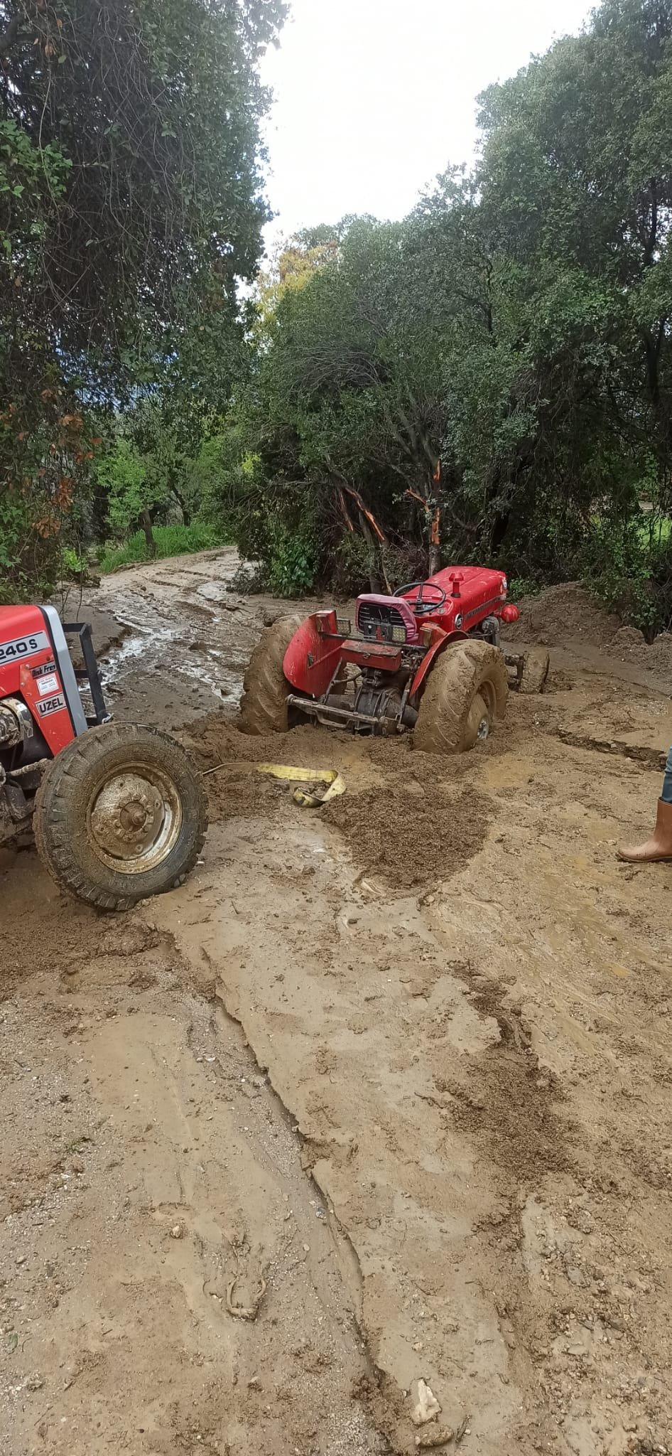 Whatsapp Image 2026 04 05 At 16.05.06