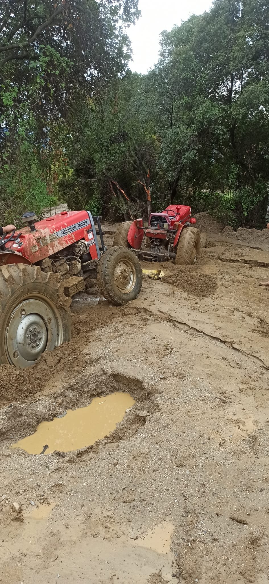 Whatsapp Image 2026 04 05 At 16.05.07 (1)