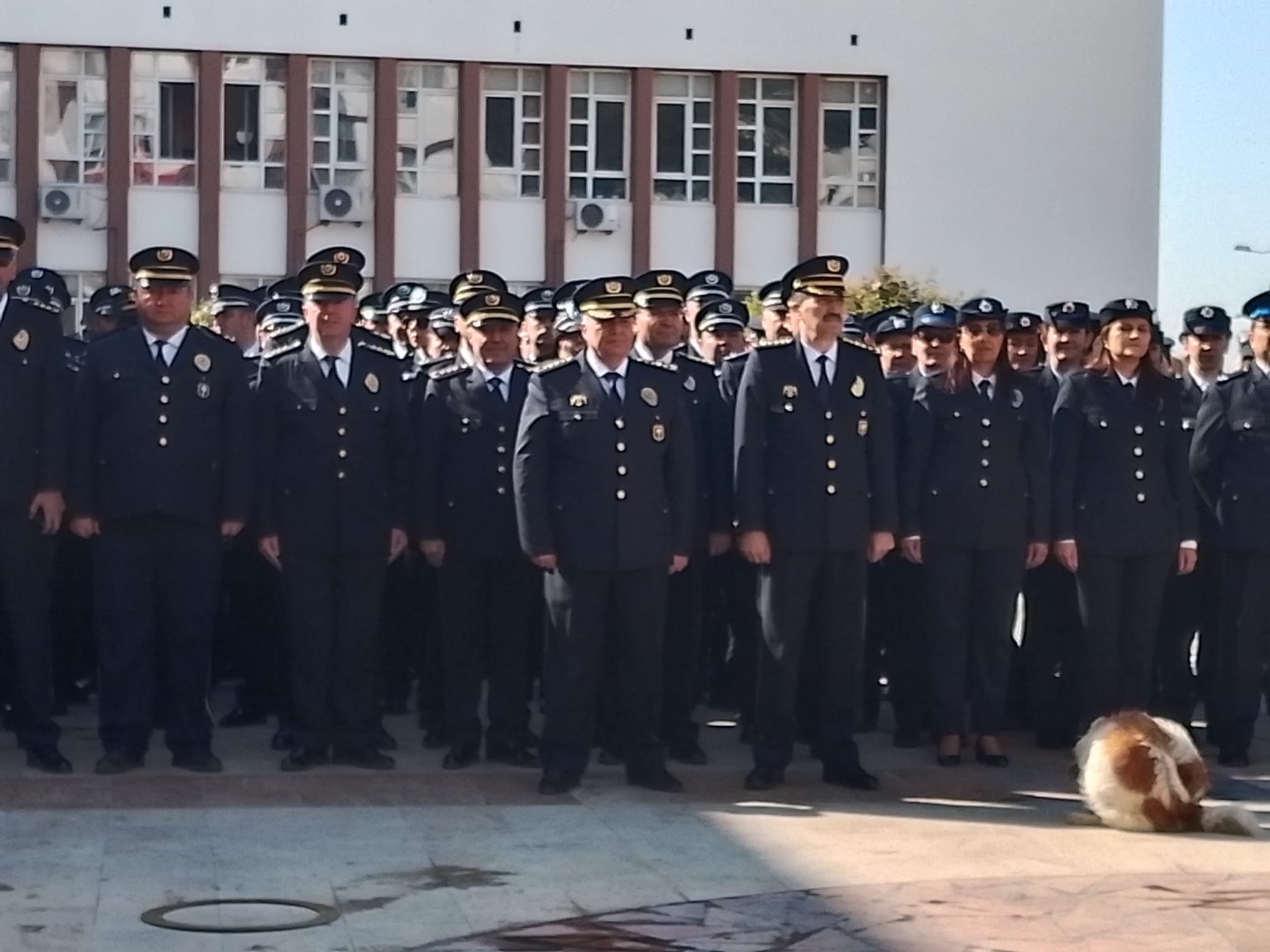 Whatsapp Image 2026 04 10 At 11.32.00