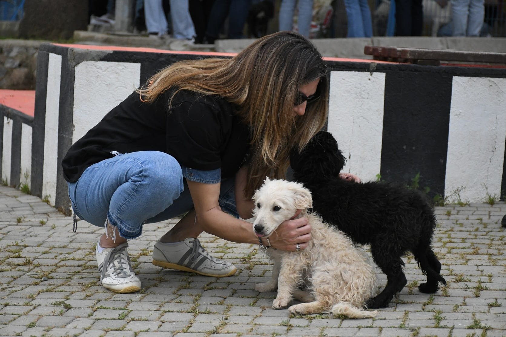 Whatsapp Image 2026 04 17 At 19.50.38