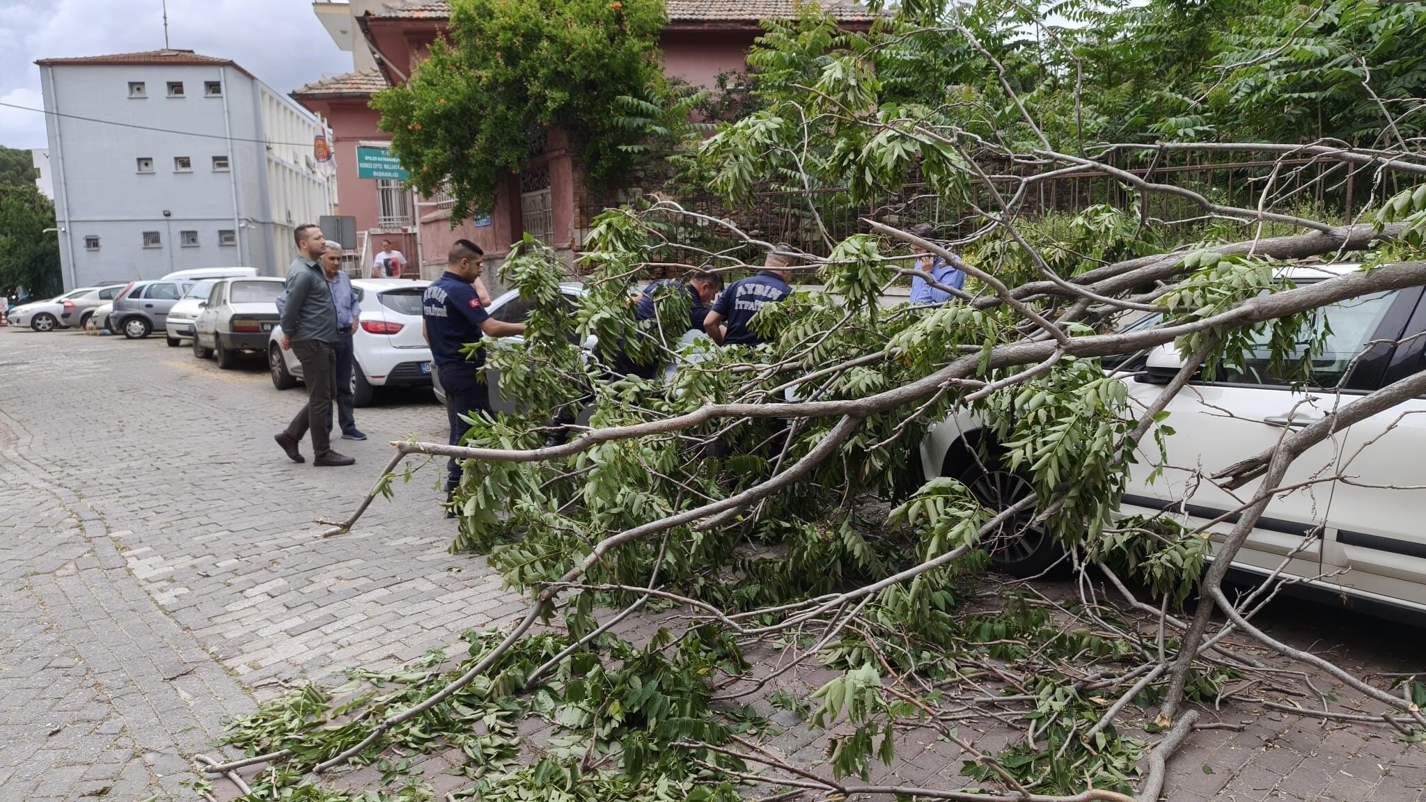 A W704840 02