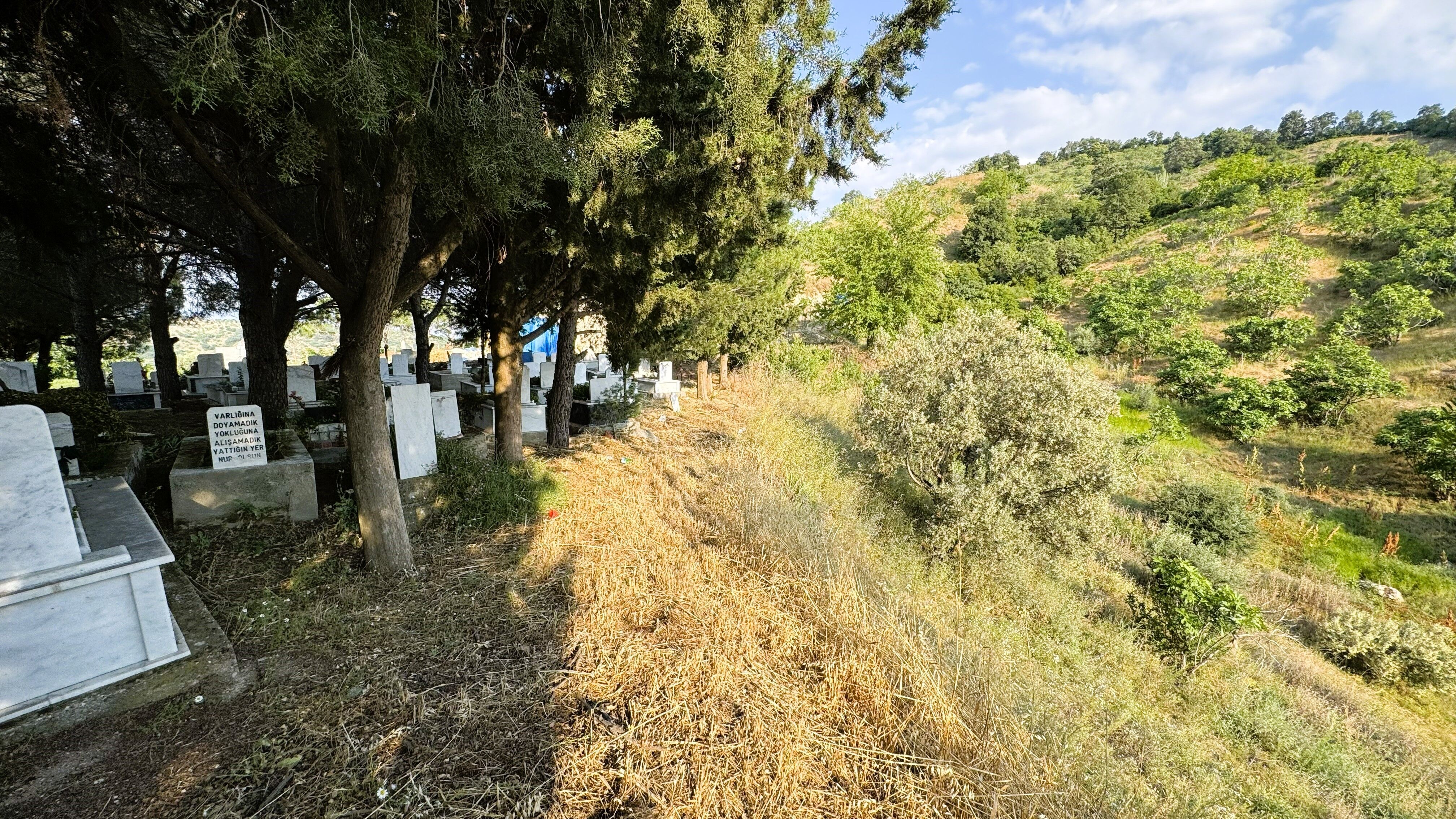 A W721319 04