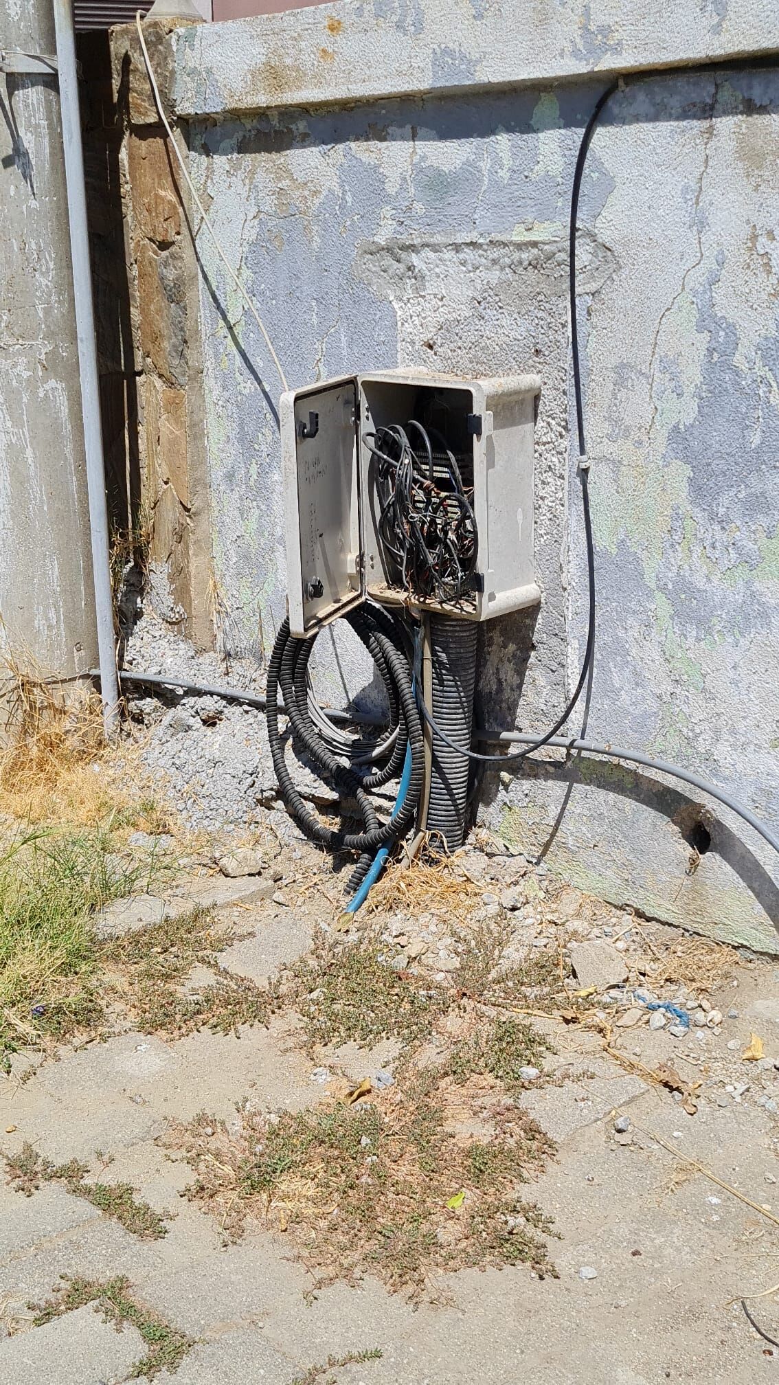 Photo 2026 07 29 12 21 13 2
