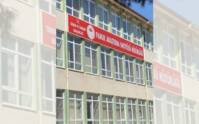 Güncel