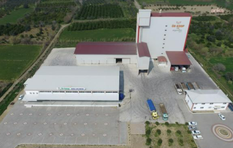 Aydın'da 47 yıllık üretici kooperatifi konkordato ilan etti