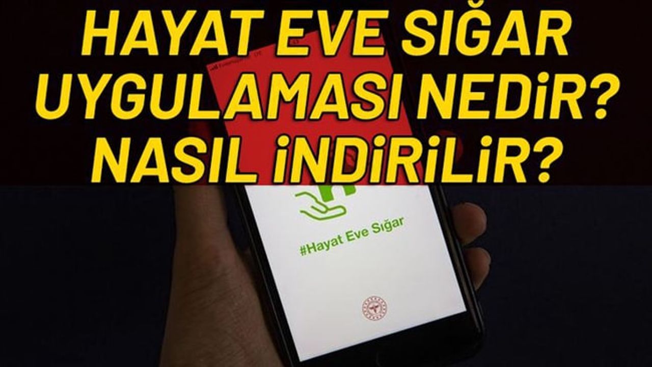 Hayat Eve Sığar Uygulaması Nedir Nasıl Indirilir Hayat Eve Sığar