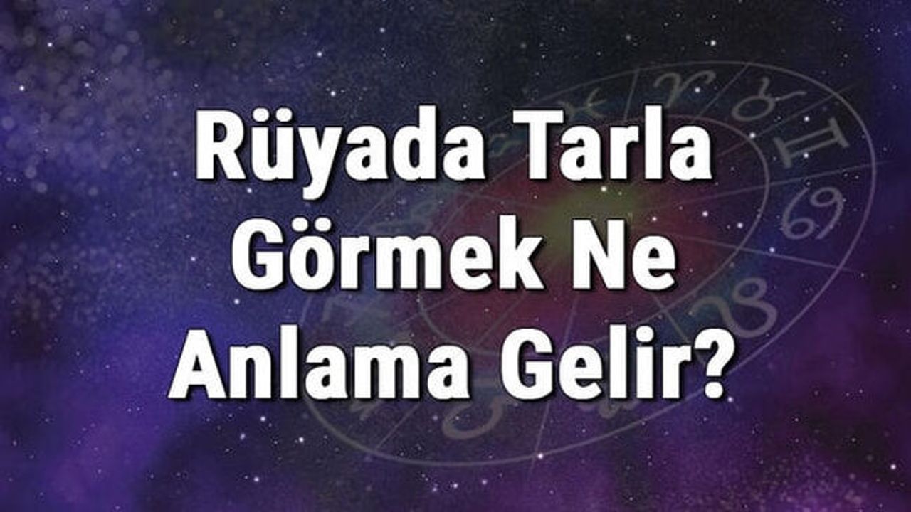 Rüyada Tarla Görmek Ne Anlama Gelir? Rüyada Tarla Sürmek Ve Sulamak