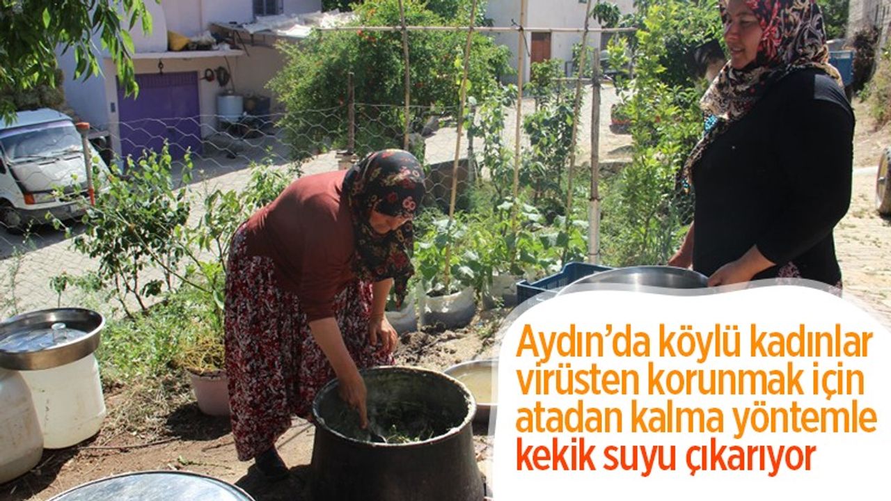Aydın’da köylü kadınlar virüsten korunmak için atadan kalma yöntemle kekik suyu çıkarıyor
