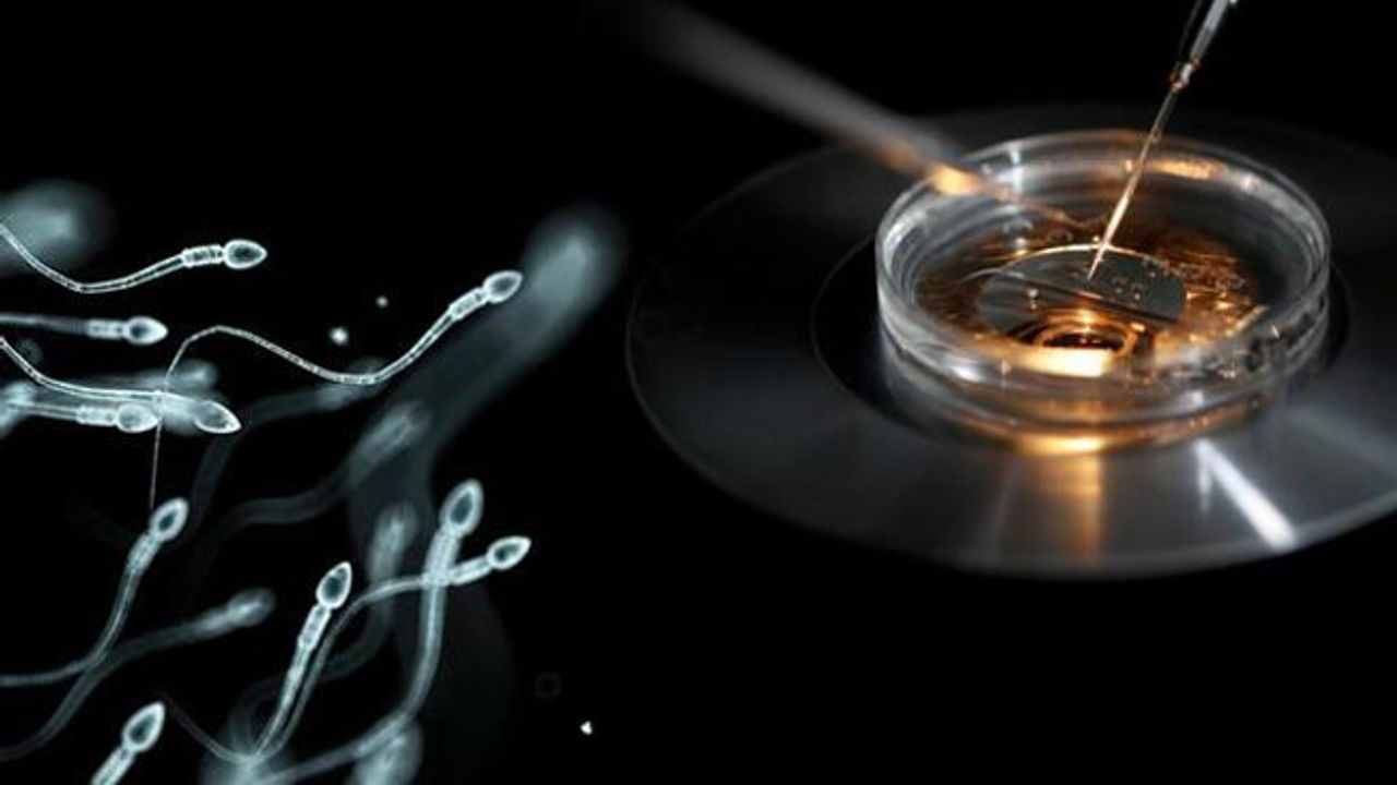 Büyük sperm soygunu: Kliniğe giden herkesin bilmediği çocukları olabilir