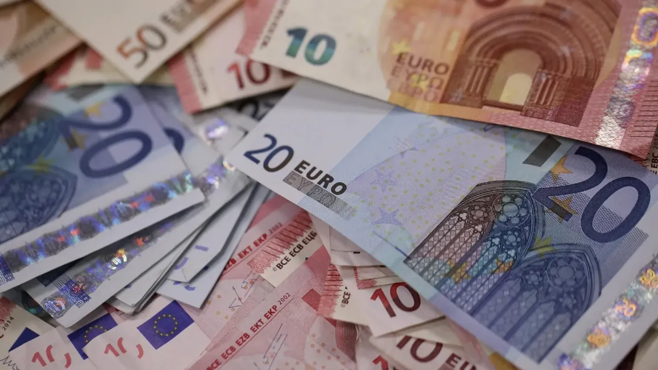 'Türkiye euro'yu para birimi olarak kullansın'