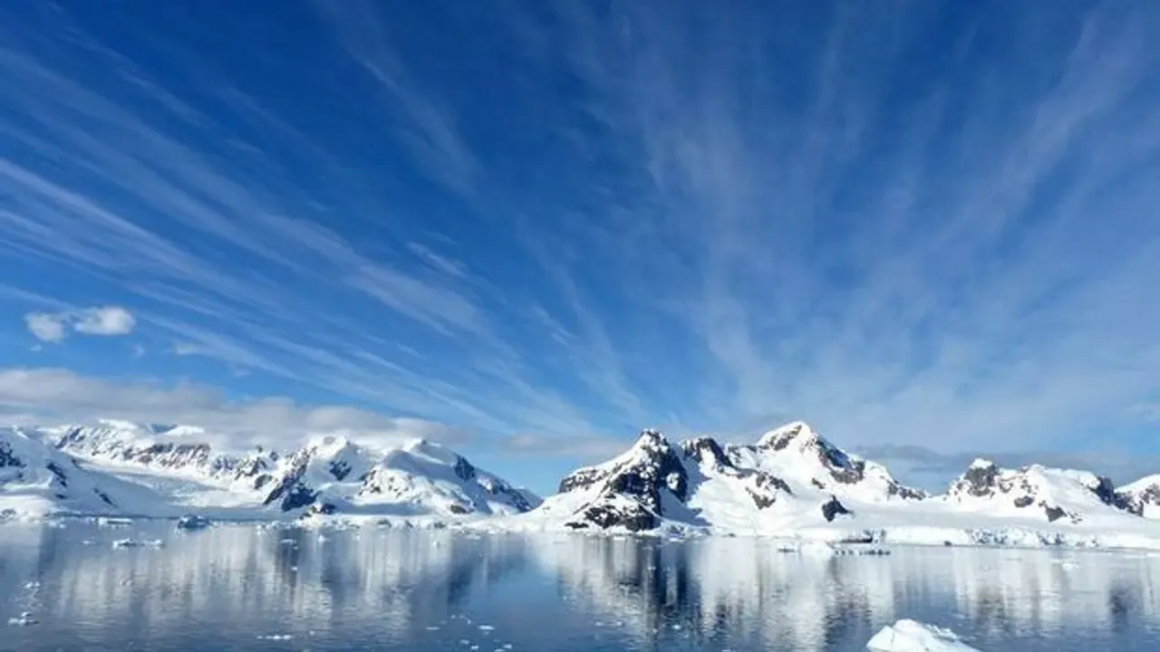 Antarktika'nın deniz ekosistemi tehlikede