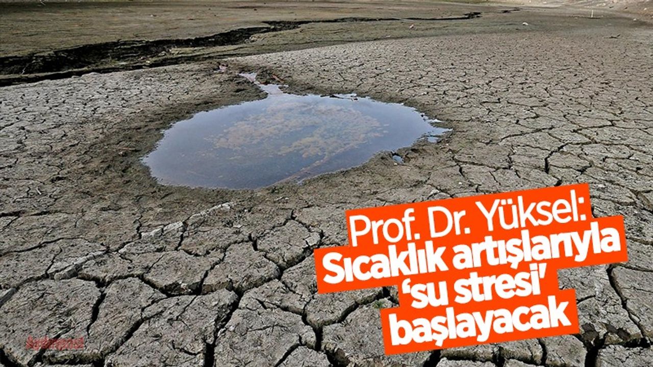 Prof. Dr. Yüksel: Sıcaklık artışlarıyla 'su stresi' başlayacak
