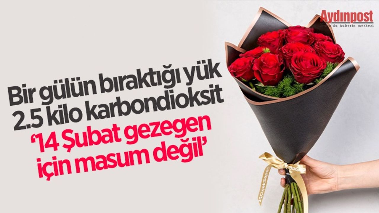 Bir gülün bıraktığı yük 2.5 kilo karbondioksit ‘14 Şubat gezegen için masum değil’ 