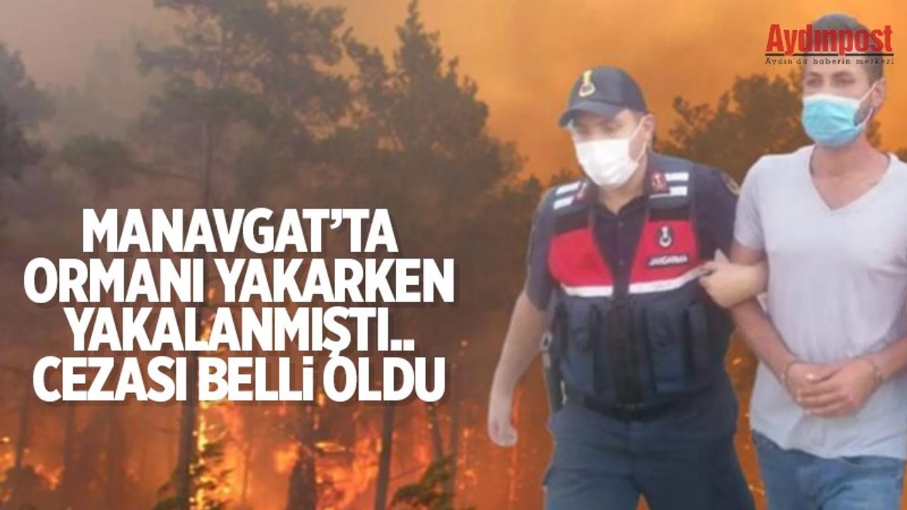 Manavgat'ta ormanı yakarken suçüstü yakalanmıştı! Semih Kuloğlu'na 15 yıl hapis, 25 bin lira para cezası