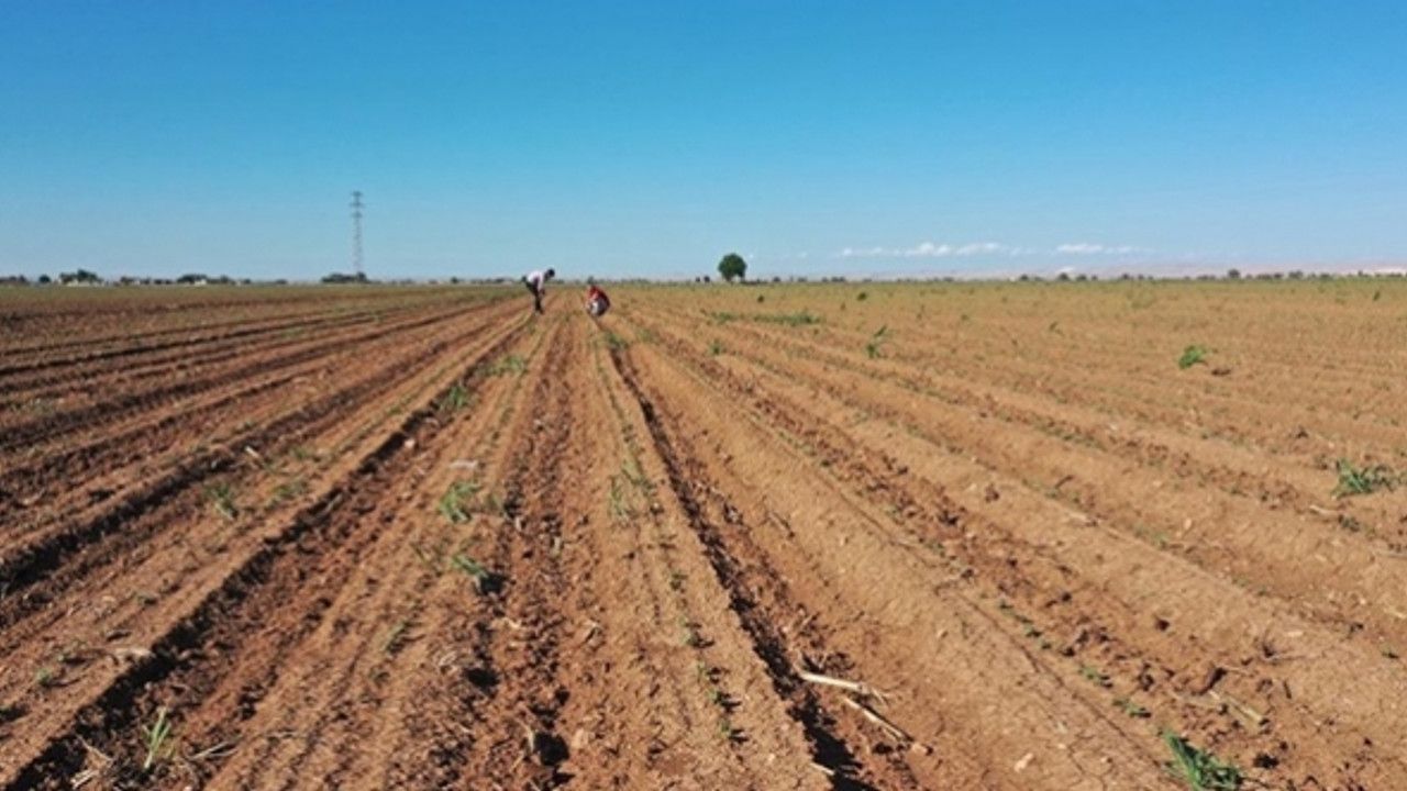 Çiftçilere ekim öncesi toprakta güçlendirme yapmaları uyarısı
