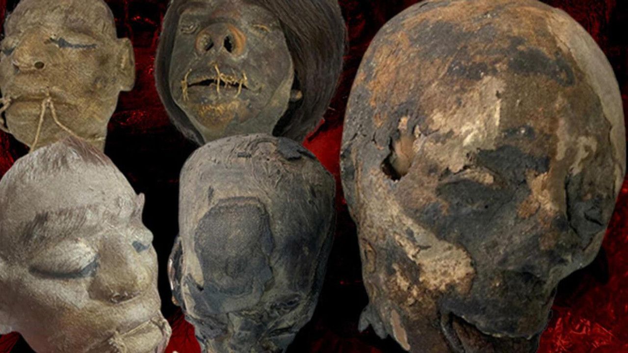 İzmirde evde bulunan tsantsalar dikkat çekmişti! İade edilecek Aydın