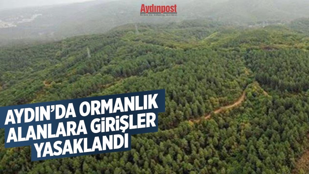 Aydın’da ormanlık alanlara girişler yasaklandı