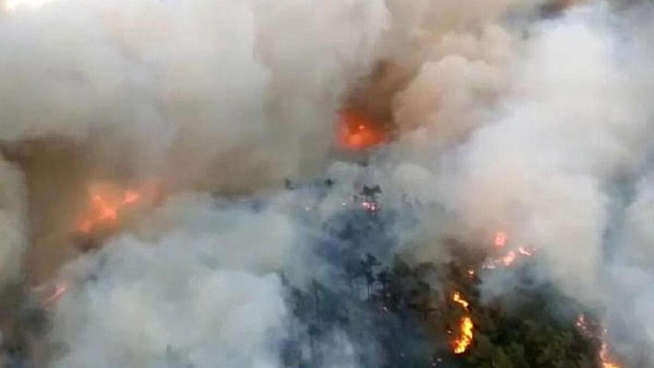 Marmariste orman yangını! Ekipler söndürmeye çalışıyor