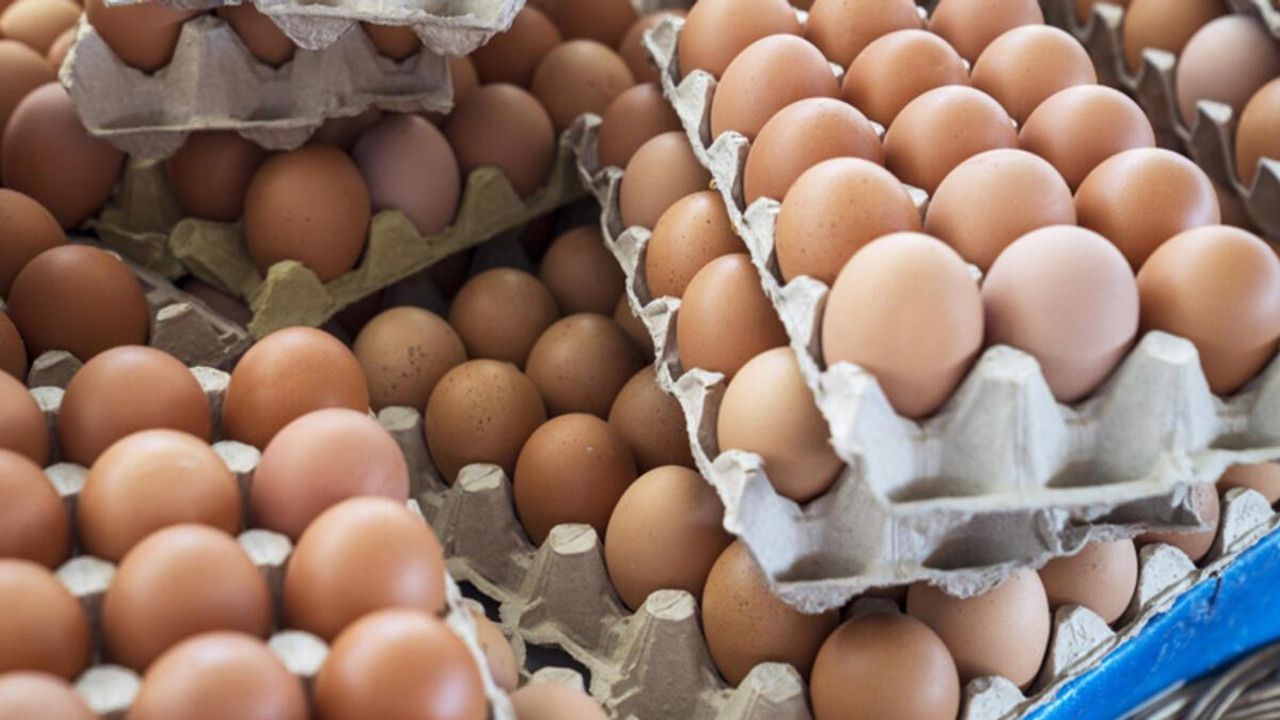 Yumurta fiyatlarıyla ilgili flaş açıklama! Soruşturma devam ediyor