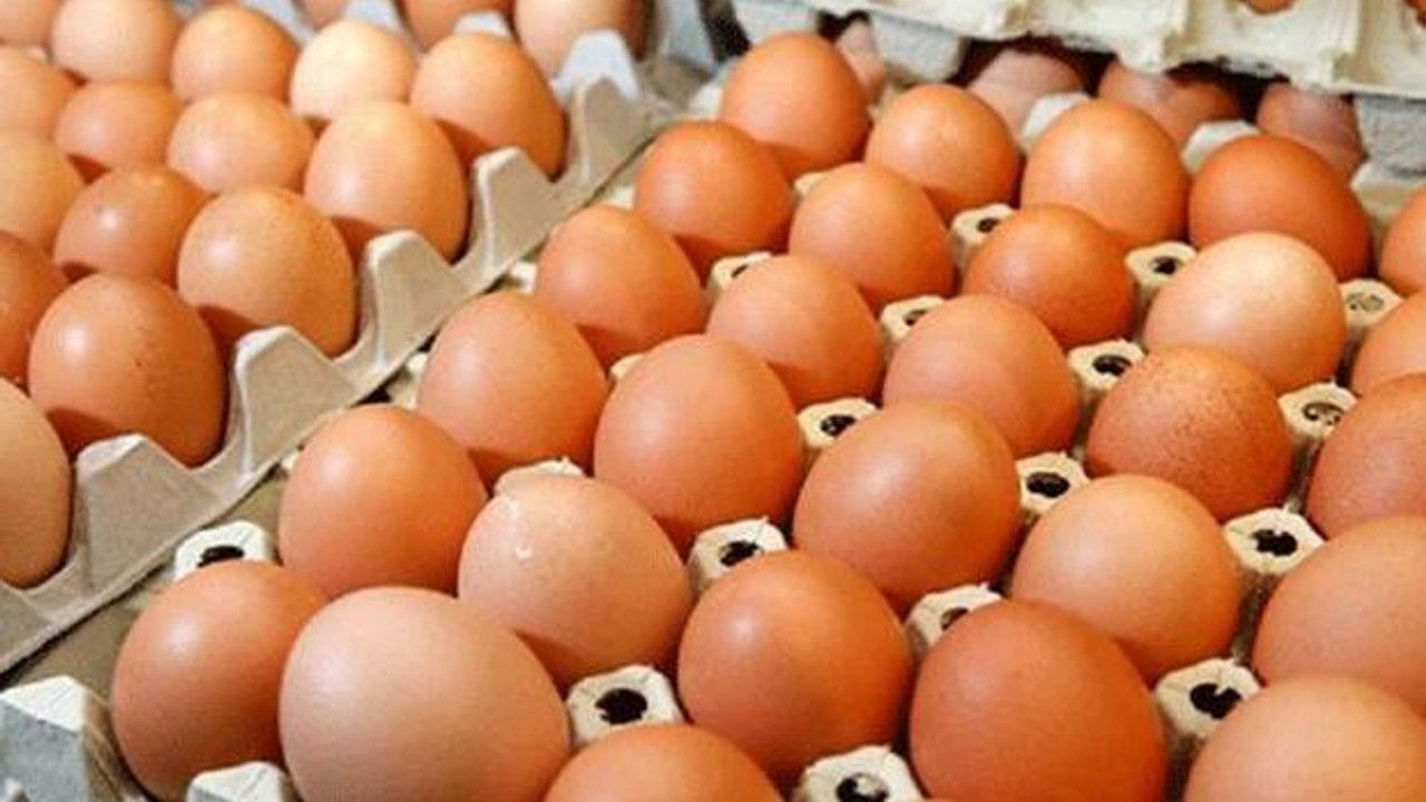 Yumurta sektörüne Rekabet Kurumu'ndan soruşturma