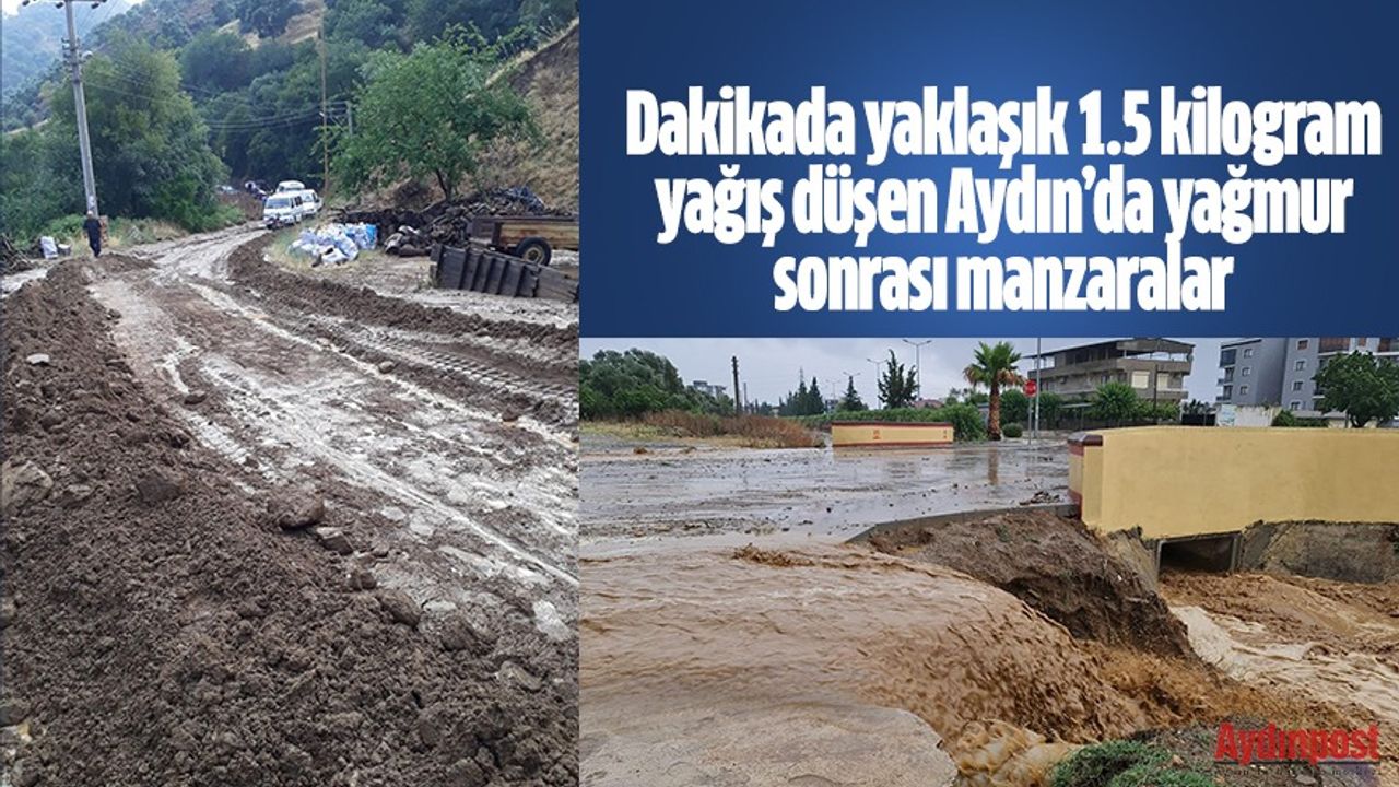 Dakikada yaklaşık 1.5 kilogram yağış düşen Aydın’da yağmur sonrası manzaralar