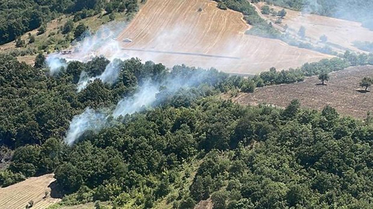 Bursa'daki orman yangını 1,5 saatte kontrol altına alındı