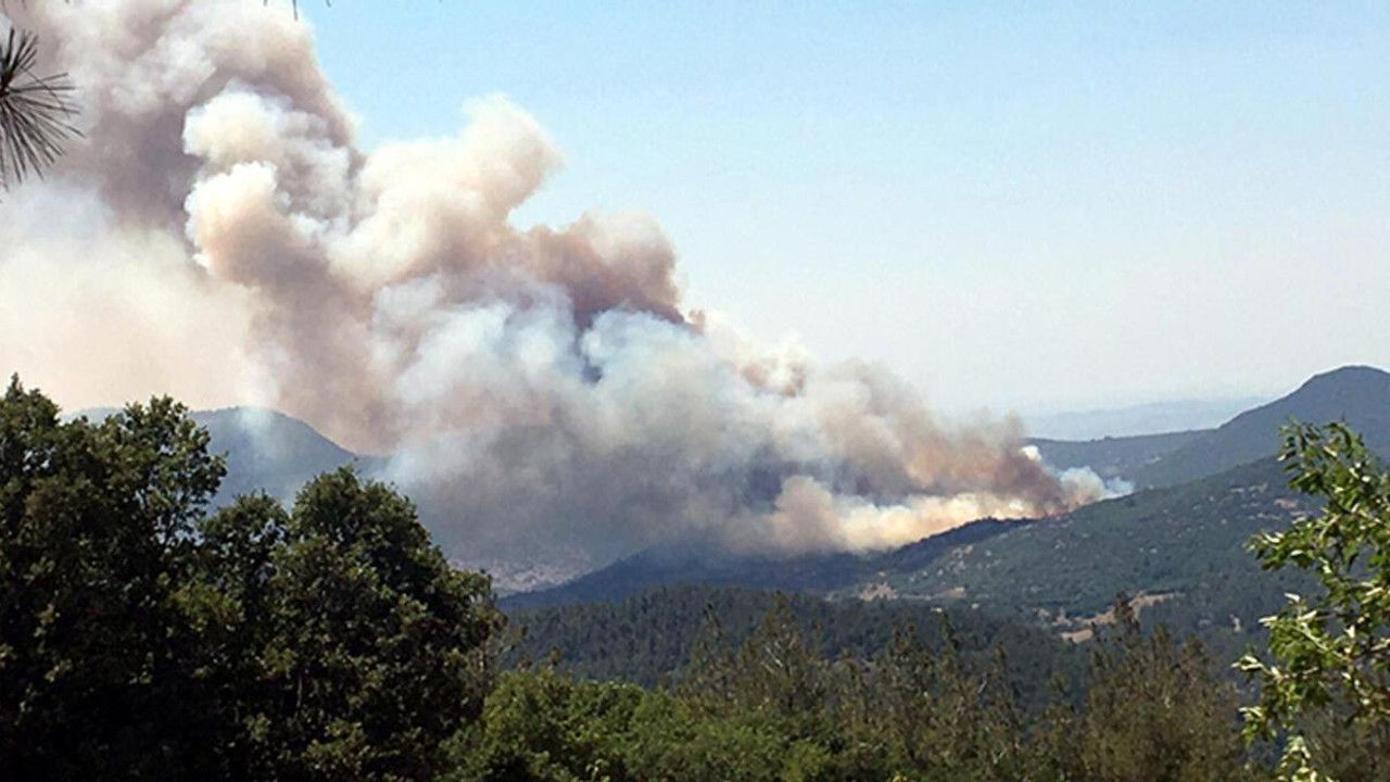 İzmir, Aydın, Çanakkale ve Balıkesir'de orman yangını! Havadan ve karadan müdahale sürüyor