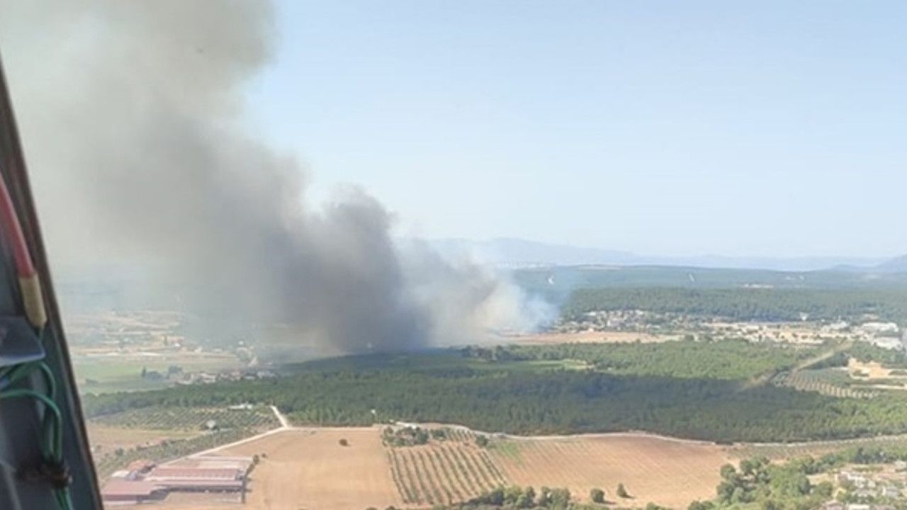 İzmir'de çıkan yangına müdahale ediliyor