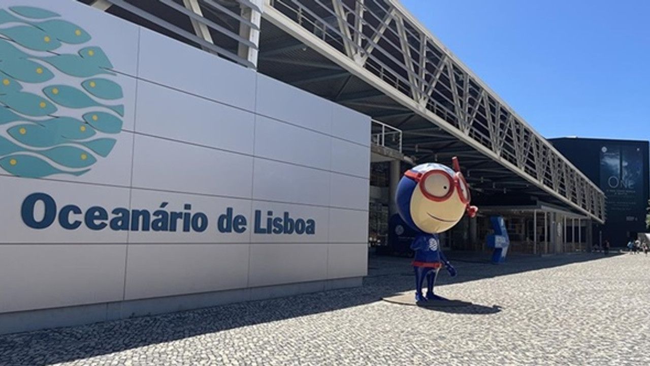Portekiz'deki akvaryumu yılda 1 milyondan fazla kişi ziyaret ediyor