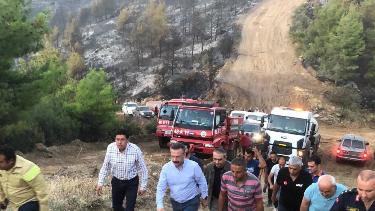 Vali Aksoy, Nazilli'deki yangın bölgesinde incelemelerde bulundu