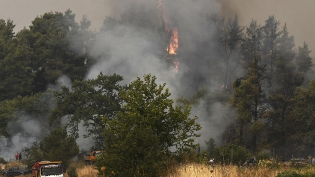 Yunanistan'da orman yangını: Çok sayıda ev zarar gördü