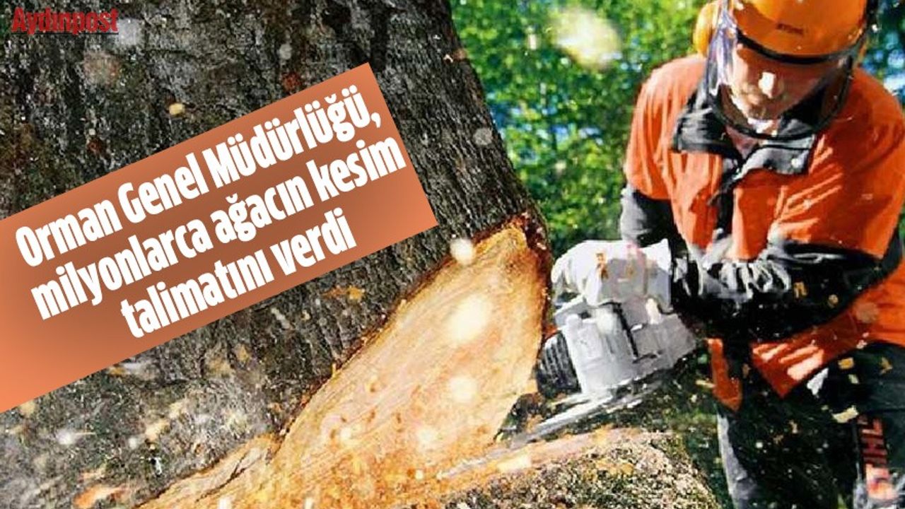 Orman Genel Müdürlüğü, milyonlarca ağacın kesim talimatını verdi
