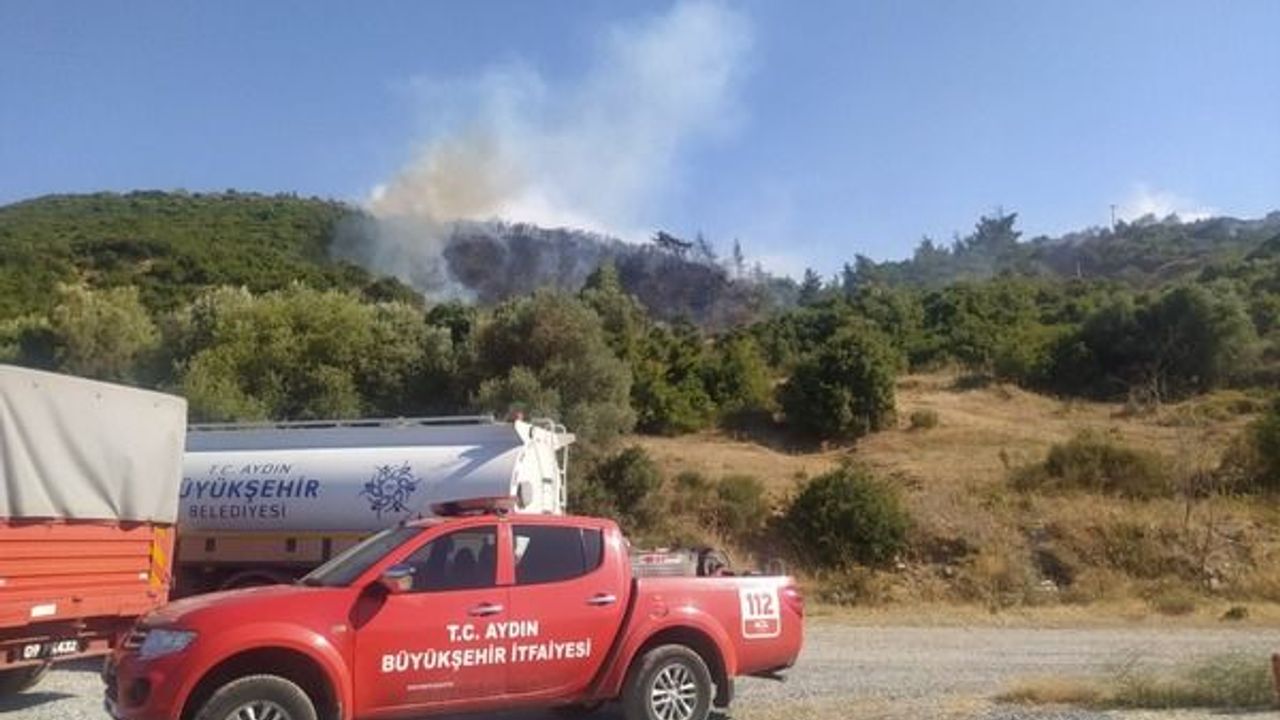 Söke'de orman yangını: Ekipler müdahale ediyor
