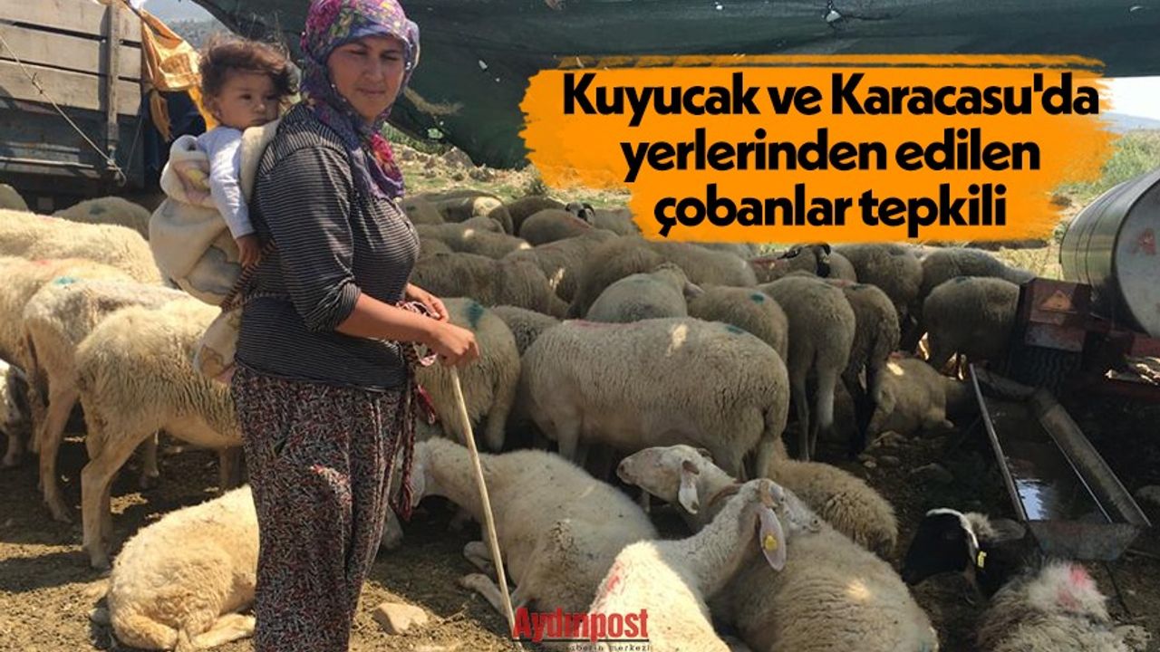 Kuyucak ve Karacasu'da yerlerinden edilen çobanlar tepkili