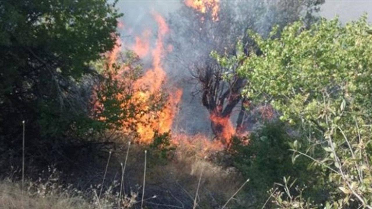 Adana'da orman yangını kontrol altında