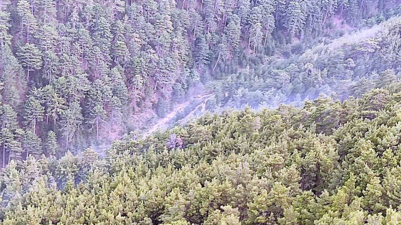 Karacasu'daki orman yangını söndürüldü