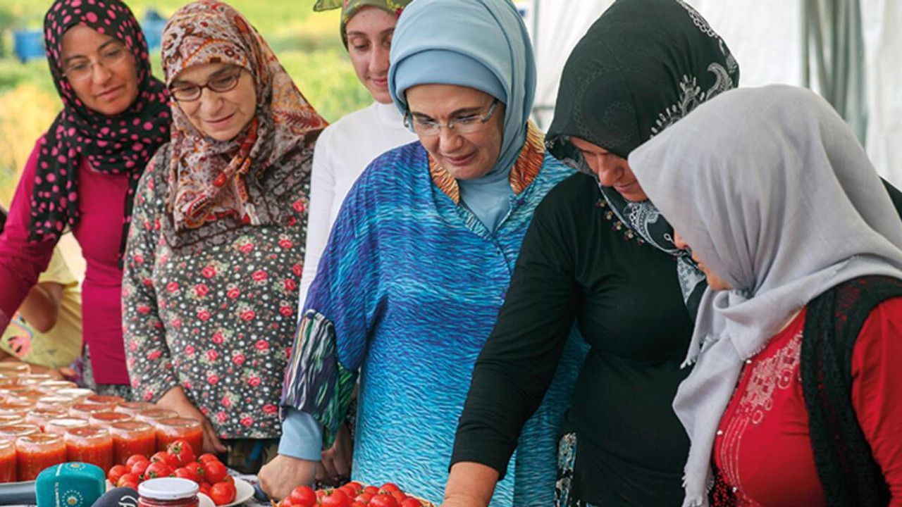 Emine Erdoğan, Ayaşta çiftçi kadınlarla tarladan domates topladı, kışlık menemen yaptı